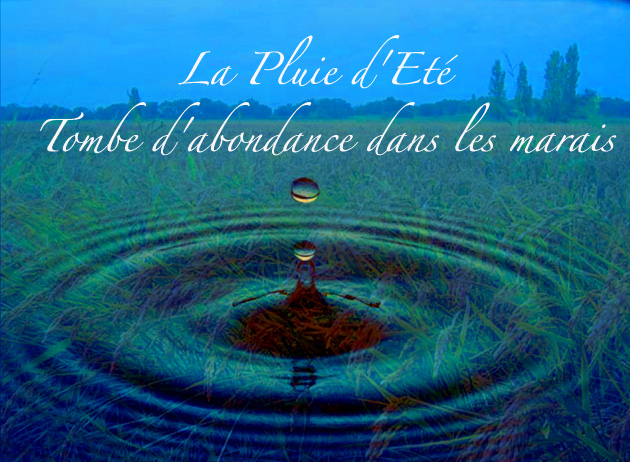 pluie-ete.jpg