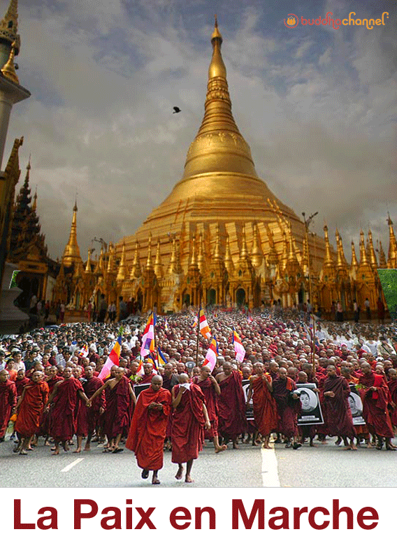 photo-montage de Buddhachannel