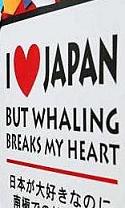 Love_Japan_but_Whaling_breaks_my_Heart.jpg