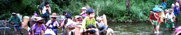 Birmanie_refugie.jpg