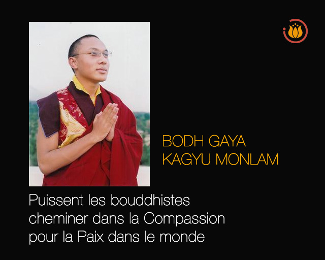 Sa Sainteté le Karmapa Ogyen Trinley Dorjé