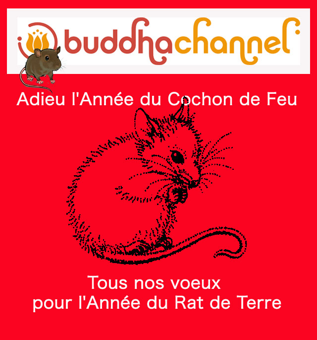 Buddhachannel_Rat.jpg