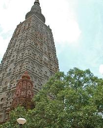 Stupa_bodhi_tree.jpg