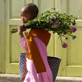 birmanie2.jpg
