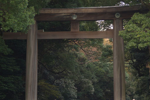 Parc Yoyogi