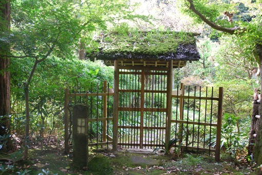 Parc Yoyogi