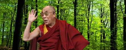 Le Dalaï-Lama, une conscience dans la forêt des obstacles