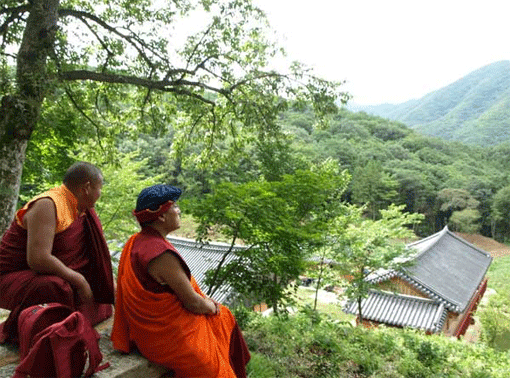 Sa_saintete_drukpa.gif