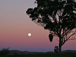 250px-Moon_and_red_blue_haze.jpg