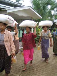 Distribution du riz