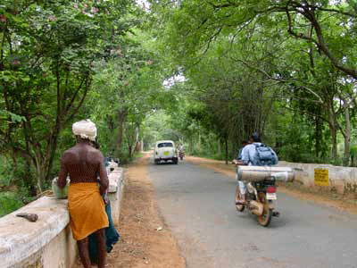 streets_auroville.gif