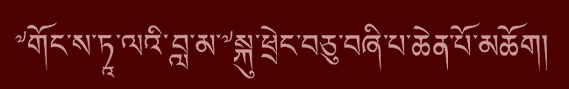 Sa Sainteté le Dalaï-Lama à Hambourg Sa Sainteté le Dalaï-Lama à Hambourg