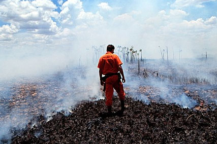 Destruction de l'Amazonie. Paulo Adario, campaigner de Greenpeace, inspectant un feu de forêt dans la forêt tropicale amazonienne.