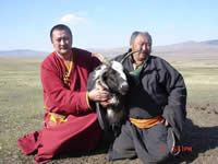 Lama purevbat with a four horns goat on research work about abnormal figures of animals