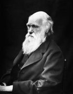 Charles_Darwin.jpg