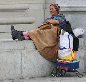 300px-homeless_woman_in_washington_dc.1236281848.jpg
