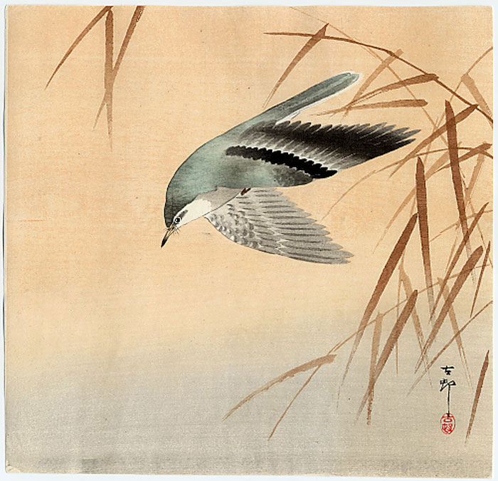 Artiste © Koson