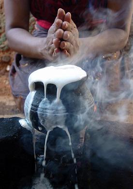 A Sri Lankan woman offers prayers as a pot with milk boils over during the cooking of 'Kiribath' milk rice in the neutral period between the old and new year during the Sri Lankan Singhala and Tamil New Year celebrations in Colombo, 14 April 2007.