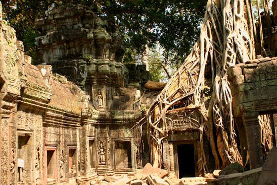 Ta_Prohm_temple.jpg