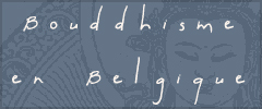 Logosite Logosite