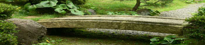 japan_environment.jpg