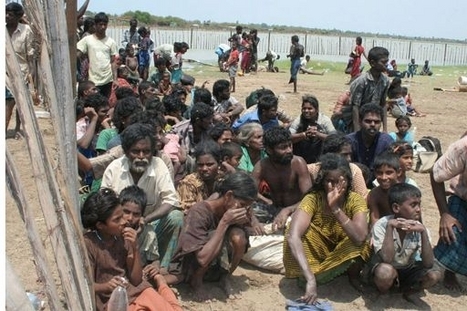 Enfants sri-lankais dans un camp de réfugiés (source AFP)