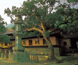 Pu Tuo Shan in Zhejiang province