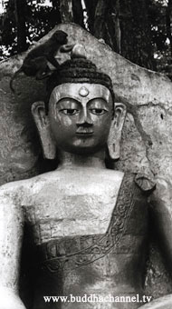 bouddha népal