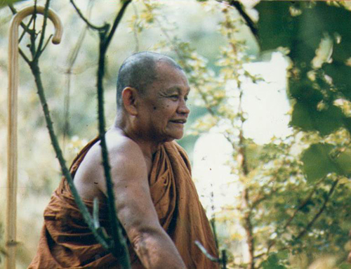 Ajahn-Chah4.jpg