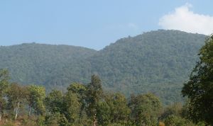 Région de la Montagne Niyamgiri Région de la Montagne Niyamgiri