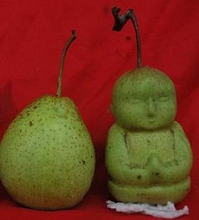 une-poire-normale-et-une-poire-bouddha_14822_w560.jpg