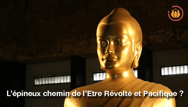 Bouddha_revolte.gif