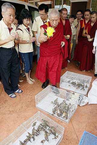 Lama Lhundrup blessing the birds before releasing them.