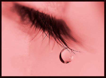 regard regard