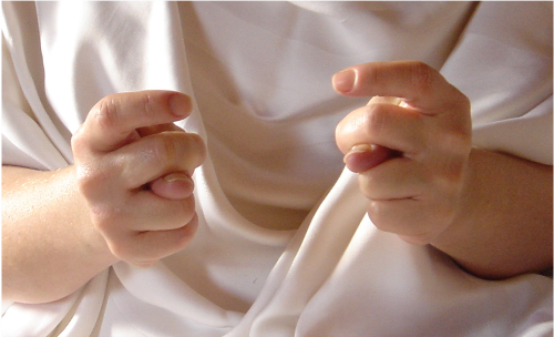 Figure 3 Mudra concentration