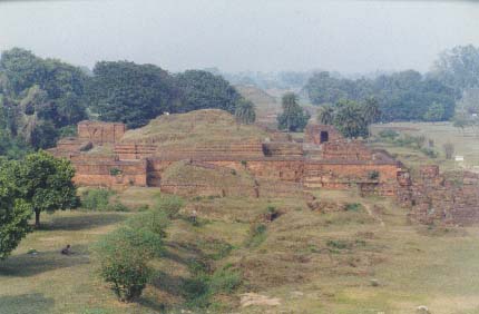 nh3.jpg