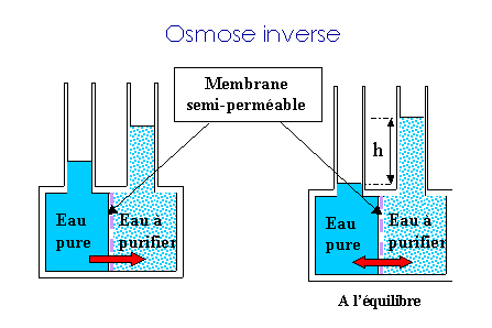 L'Osmose inverse