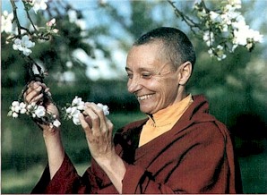 Vénérable Tenzin Palmo