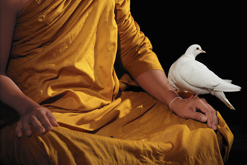 Le bouddhisme évoque la pureté, la sérénité, l’élévation spirituelle.