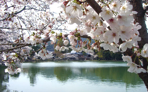 Lake Biwa Lake Biwa