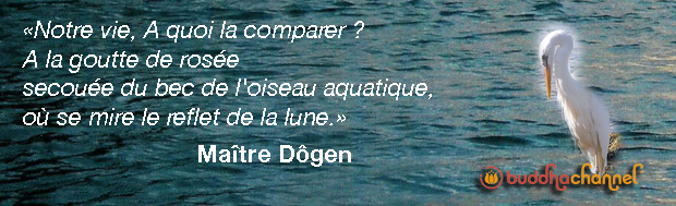 Maître Dôgen Maître Dôgen