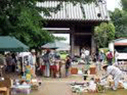 marche2.gif
