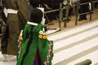 queen-3.gif