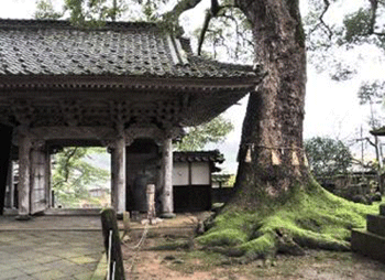 temple.gif