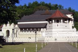 temple_of-_tooth.gif