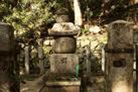 tiantaizong.gif