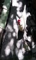 images-1-6.jpg