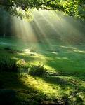 images-11-2.jpg
