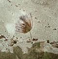 images-12-2.jpg