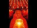 images-2-11.jpg